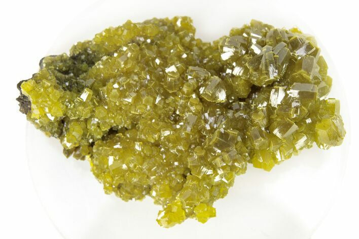 Lustrous Forest-Green Pyromorphite Crystal Cluster - China #260962